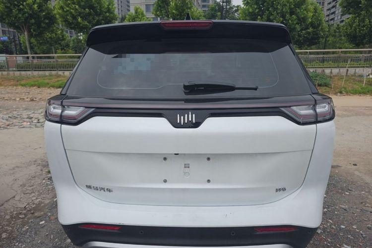 Used WM Motor W6 2021 520km PRO All-Round Edition Rear
