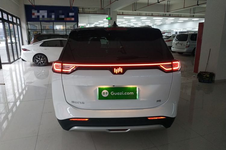 Used WM Motor W6 2021 520 km NEX Exploration Edition Rear