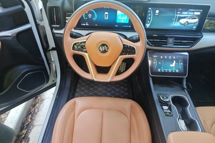 Used WM Motor W6 2021 520km PRO All-Round Edition Steering Wheel