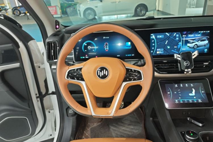 Used WM Motor W6 2021 520km PRO All-Round Edition Steering Wheel
