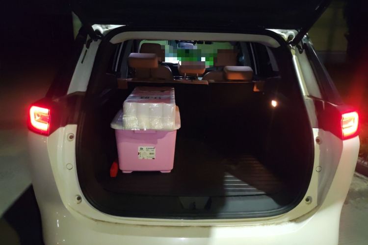 Used WM Motor W6 2021 520km PRO All-Round Edition Trunk