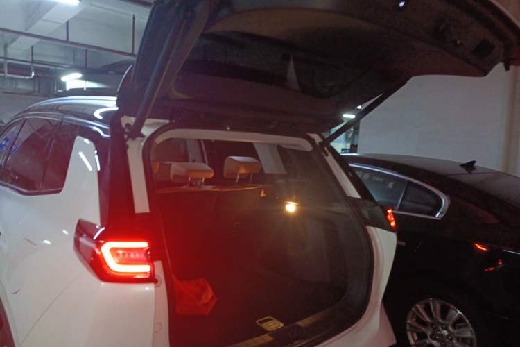 Used WM Motor W6 2021 520km PRO All-Round Edition Trunk