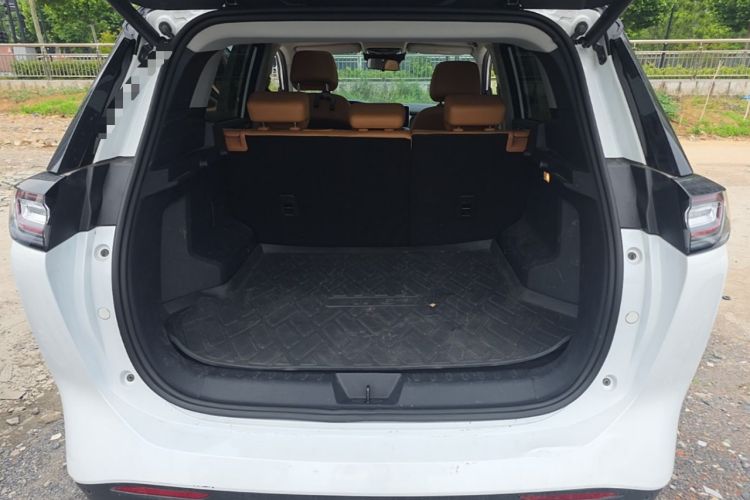 Used WM Motor W6 2021 520km PRO All-Round Edition Trunk