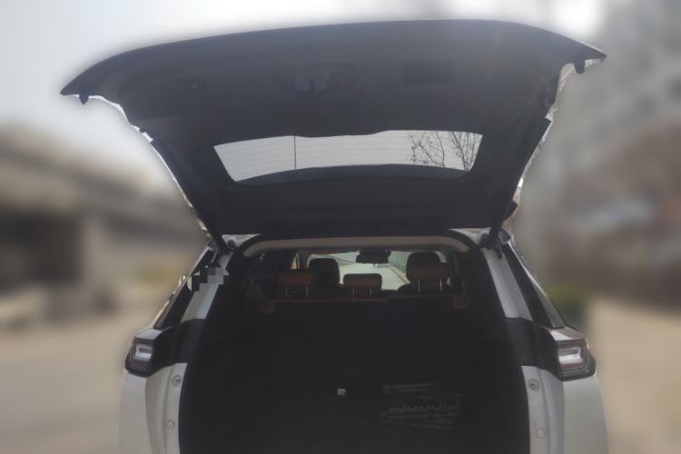 Used WM Motor W6 2021 520km PRO All-Round Edition Trunk