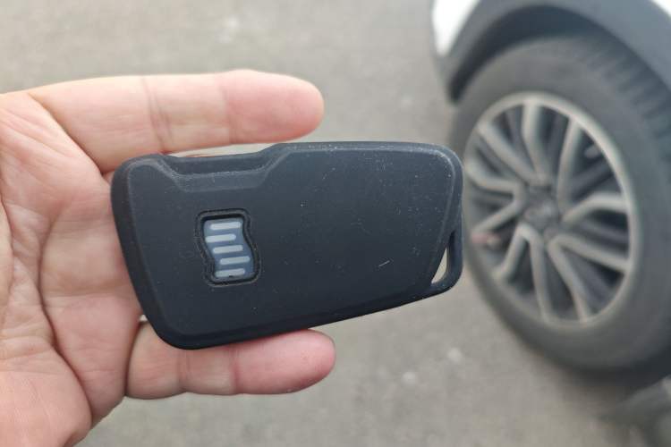 Used WM Motor W6 2021 520km PRO All-Round Edition Vehicle Key