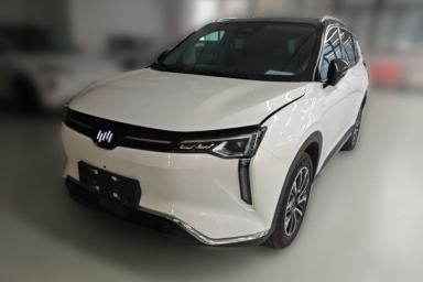 Used WM Motor W6 2021 520km PRO All-Round Edition