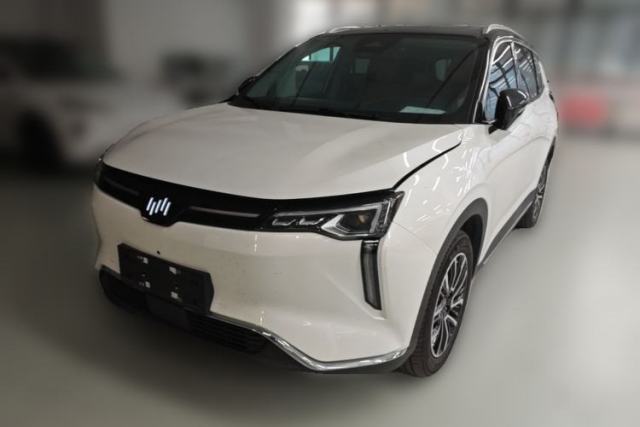 Used WM Motor W6 2021 520km PRO All-Round Edition