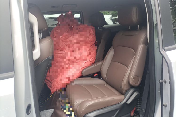 Used Wuling 730 2025 Model 1.5T CVT Elite Edition Left Rear Seat