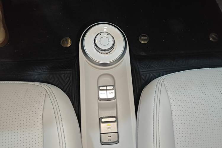 Used Wuling Air ev 2023 - Four Seats - Advanced Edition Gear Lever
