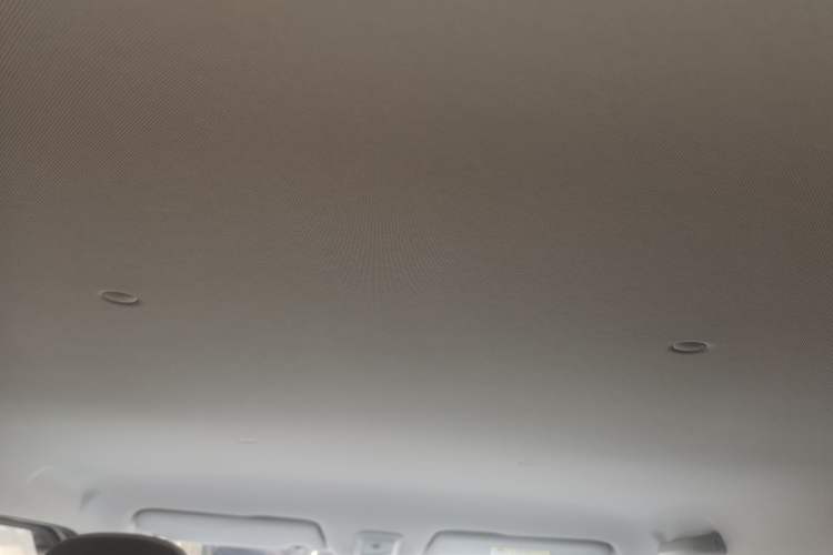 Used Wuling Air ev 2023 - Four Seats - Advanced Edition Headliner