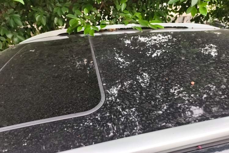 Used Wuling Alvez 2022 1.5T CVT Trendy & Cool Edition Roof