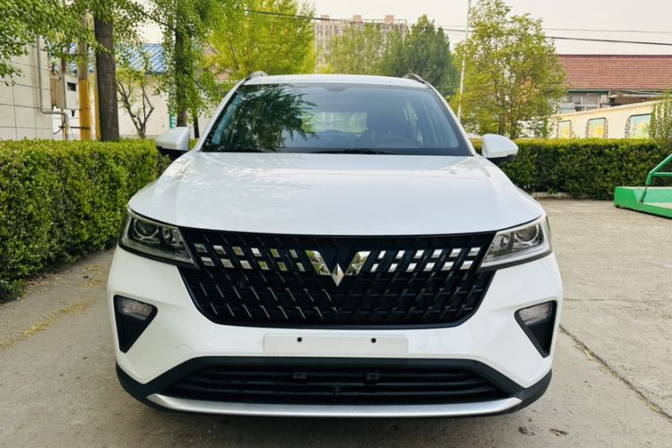 Used Wuling Alvez 2022 1.5L Manual Free-Style Model Exterior 5
