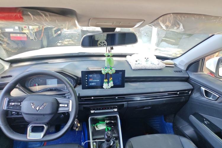 Used Wuling Alvez 2022 1.5L Manual Comfort Version Headliner
