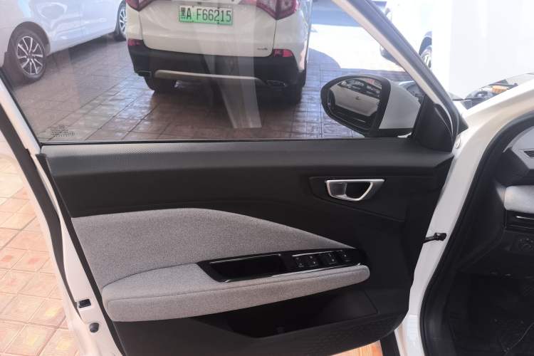Used Wuling Alvez 2022 1.5L CVT Comfort Edition Left Front Door Interior