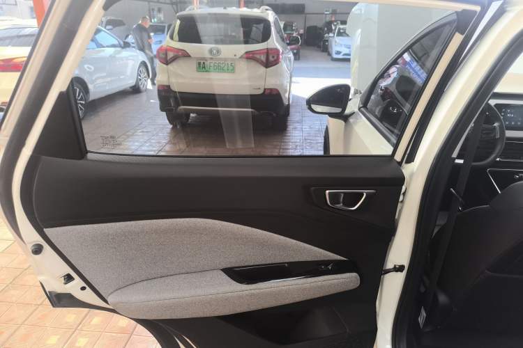 Used Wuling Alvez 2022 1.5L CVT Comfort Edition Left Rear Door Interior