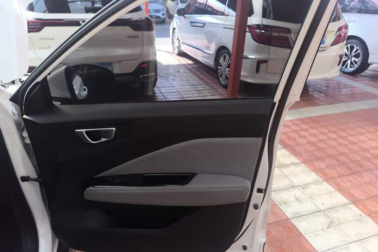 Used Wuling Alvez 2022 1.5L CVT Comfort Edition Right Front Door Interior