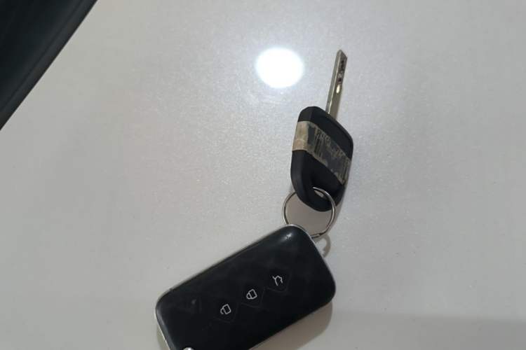 Used Wuling Alvez 2022 1.5L Manual Free-Style Model Vehicle Key