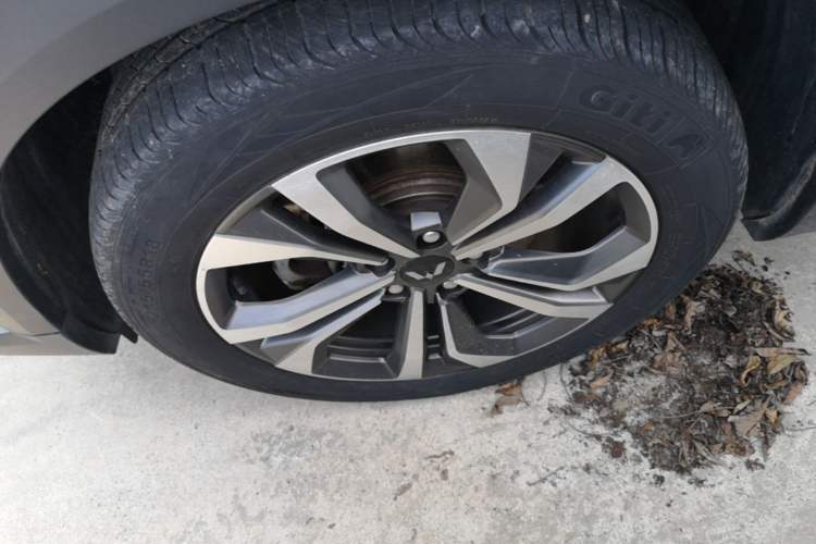 Used Wuling Asta 2021 1.5T CVT Starlight Edition Exterior 4