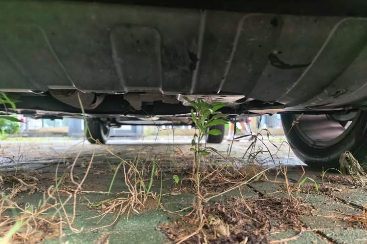 Used Wuling Asta 2021 1.5T CVT Star曜 Edition Chassis Front