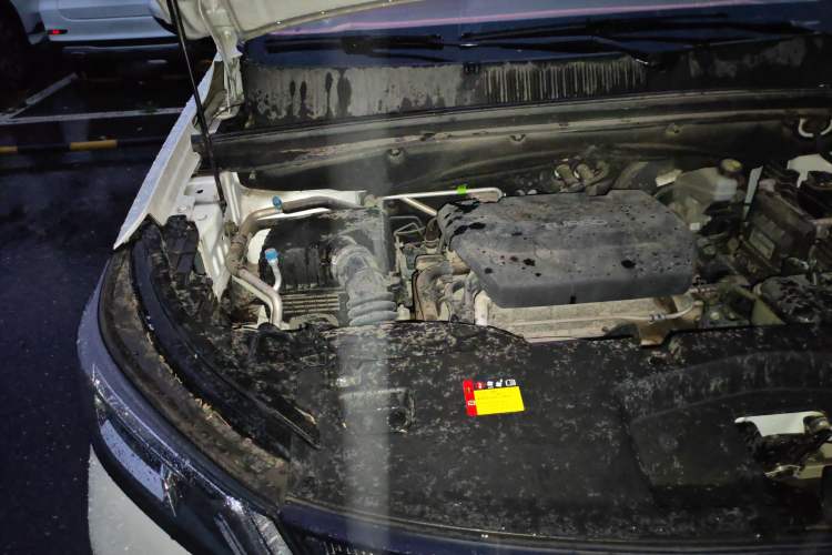 Used Wuling Asta 2021 1.5T Manual Starlight Edition Engine Bay Right
