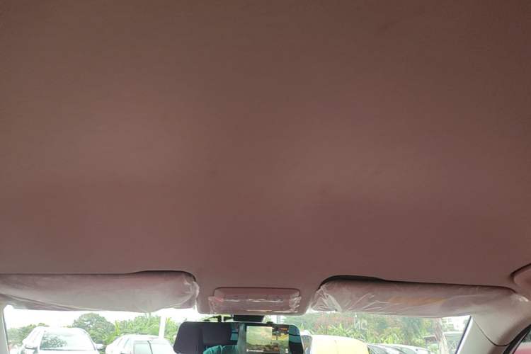 Used Wuling Asta 2021 1.5T Manual Xingyue Edition Headliner