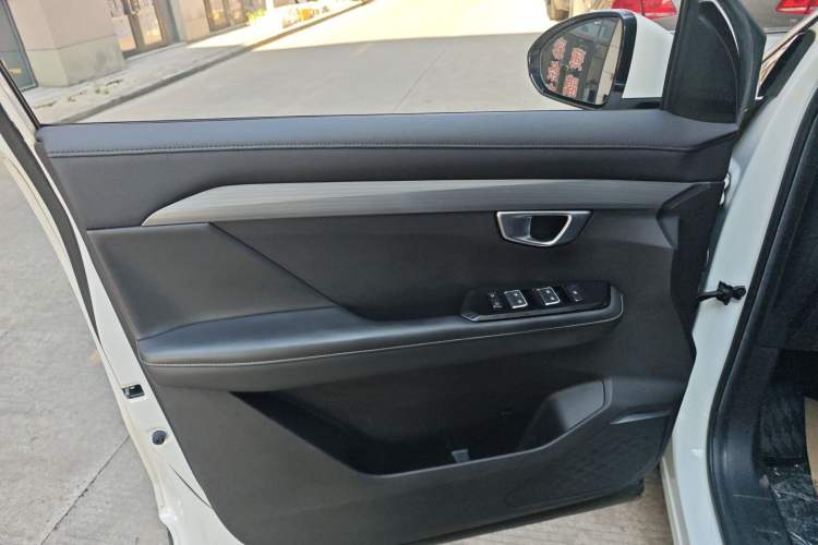 Used Wuling Asta 2021 1.5T CVT Star曜 Edition Left Front Door Interior