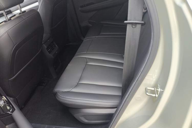 Used Wuling Asta 2021 1.5T CVT Starlight Edition Left Rear Seat