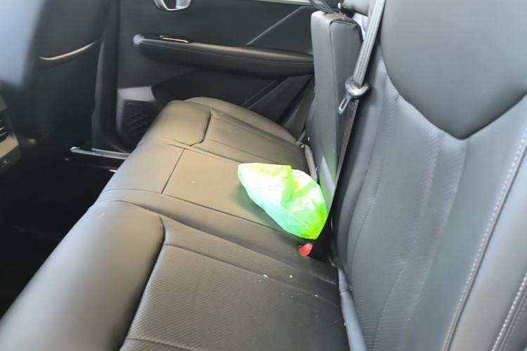 Used Wuling Asta 2021 1.5T CVT Starlight Edition Left Rear Seat