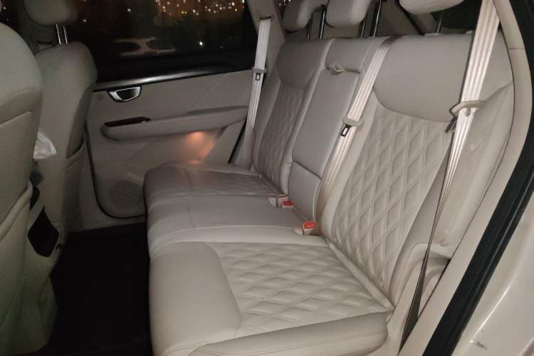 Used Wuling Asta 2021 1.5T CVT Star-Yao Edition Left Rear Seat