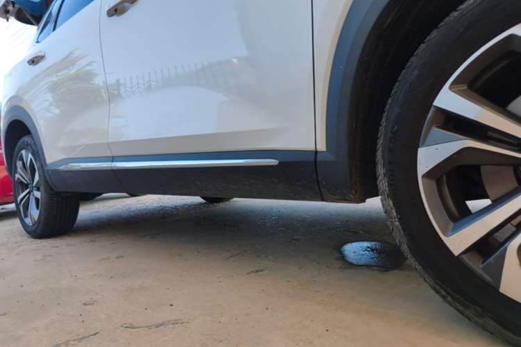 Used Wuling Asta 2021 1.5T CVT Starlight Edition Right Side Sill