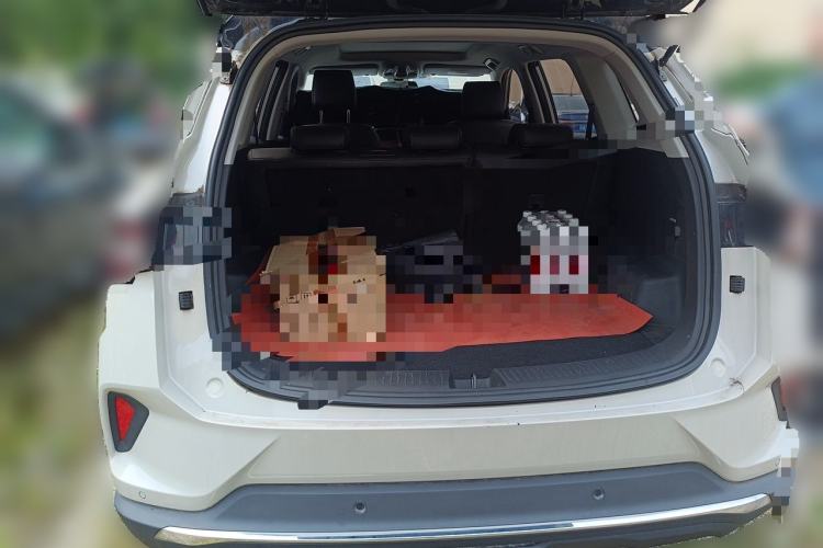 Used Wuling Asta 2021 1.5T CVT Star曜 Edition Trunk