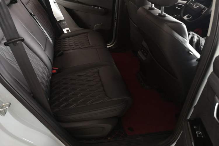 Used Wuling Asta 2022 2.0L DHT Electric-Speed Version Left Rear Seat