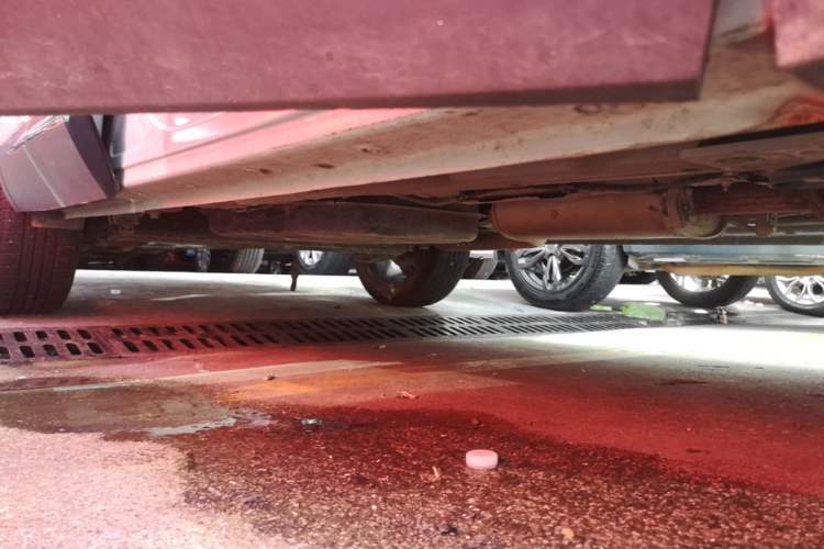 Used Wuling Asta 2022 2.0L DHT Electric Power Version Right Side Sill