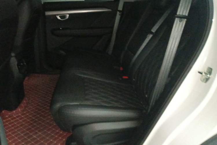 Used Wuling Asta 2022 2.0L DHT Electric-Speed Version Left Rear Seat