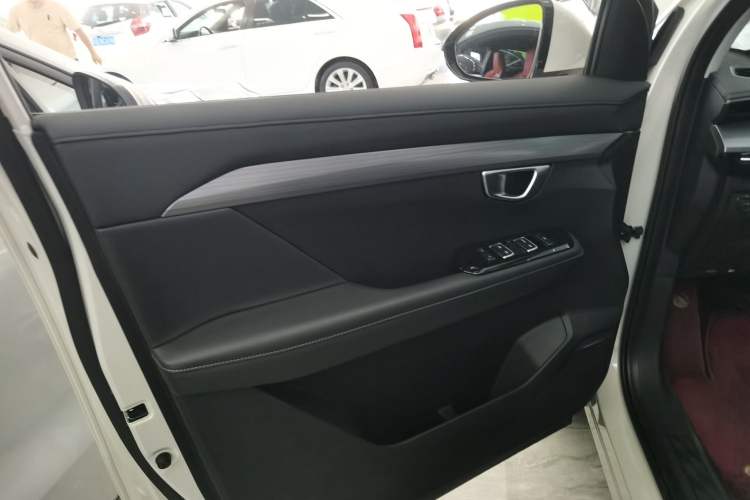Used Wuling Asta 2022 2.0L DHT Electric Power Version Left Front Door Interior