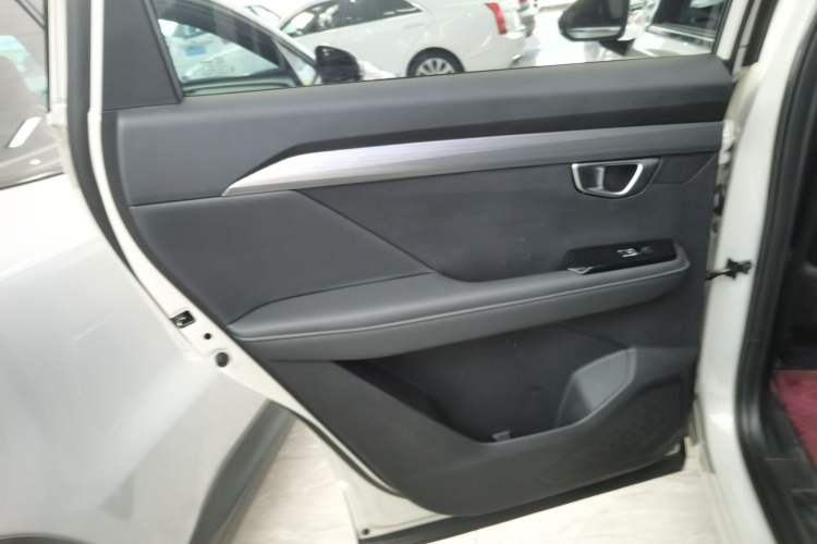 Used Wuling Asta 2022 2.0L DHT Electric Power Version Left Rear Door Interior