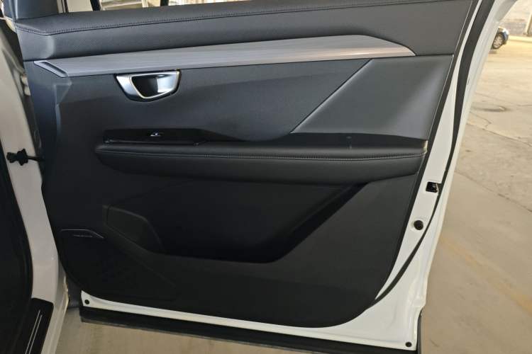 Used Wuling Asta 2022 2.0L DHT Electric-Speed Version Right Front Door Interior