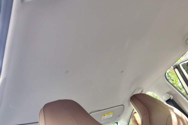 Used Wuling Bingo 2023 203km Comfort Edition Headliner