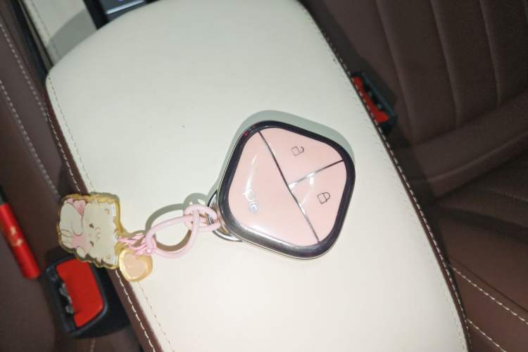 Used Wuling Bingo 2023 333 km Lingxi Connected+ Version Vehicle Key