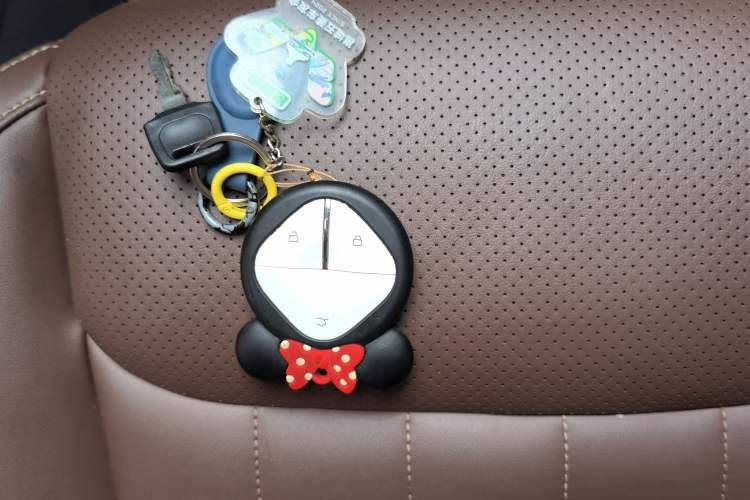 Used Wuling Bingo 2023 333 km Lingxi Connected+ Version Vehicle Key