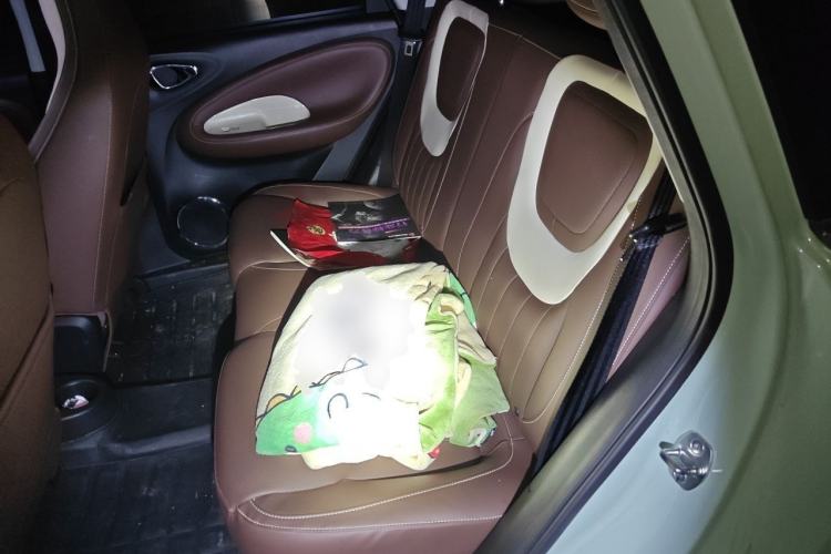 Used Wuling Bingo 2023 410 km Lingxi Deluxe Edition Left Rear Seat