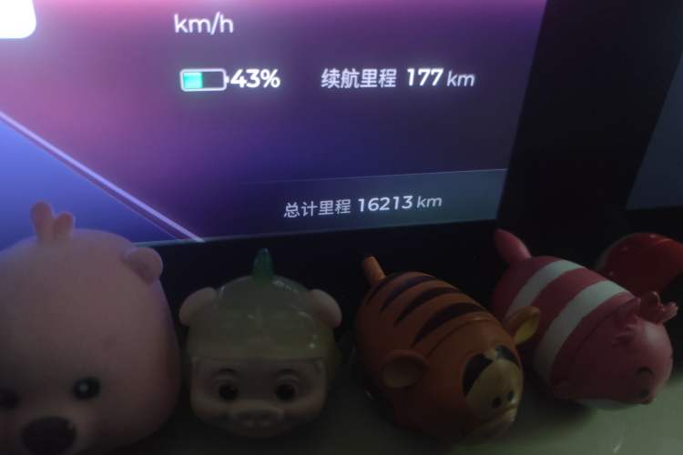 Used Wuling Bingo 2023 410 km Lingxi Deluxe Edition Odometer Close Up