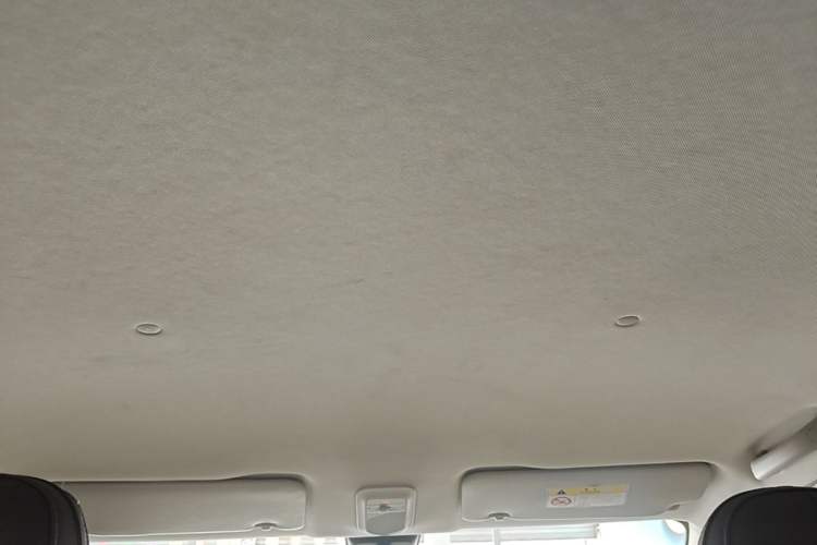 Used Wuling Bingo 2023 203km Comfort Edition Headliner