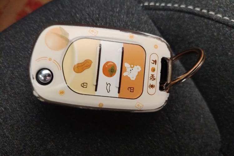 Used Wuling Bingo 2023 203km Light Edition Vehicle Key