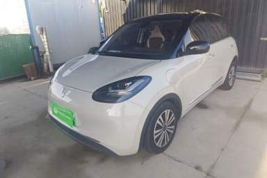 Used Wuling Bingo 2023 333 km Lingxi Connected+ Version
