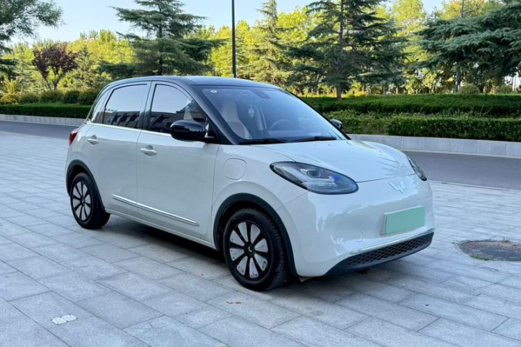 Used Wuling Bingo 2023 333 km Lingxi Connected+ Version Exterior 5