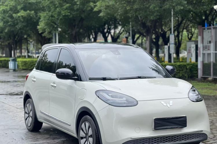 Used Wuling Bingo 2023 333km Enjoy+ Version Exterior 7