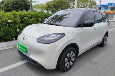 Used Wuling Bingo 2023 333 km Lingxi Connected+ Version
