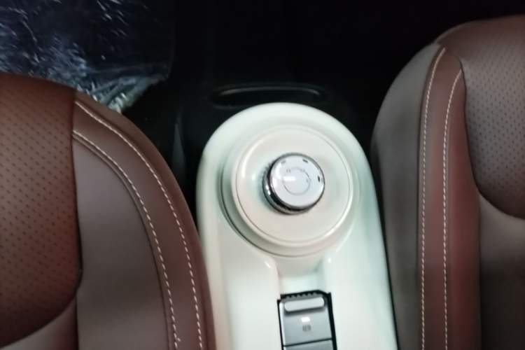 Used Wuling Bingo 2023 333 km Lingxi Connected Version Gear Lever