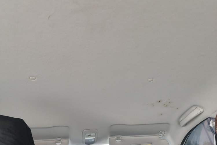 Used Wuling Bingo 2023 203km Comfort Edition Headliner